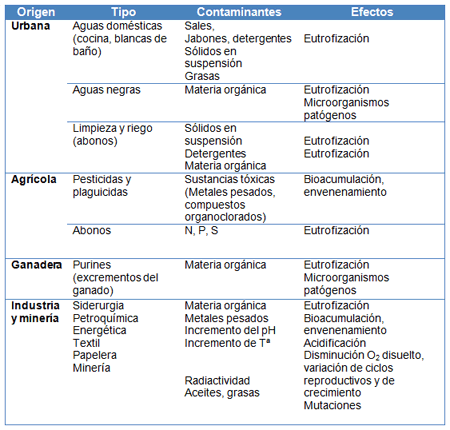 Principales efectos de la contaminación del agua
